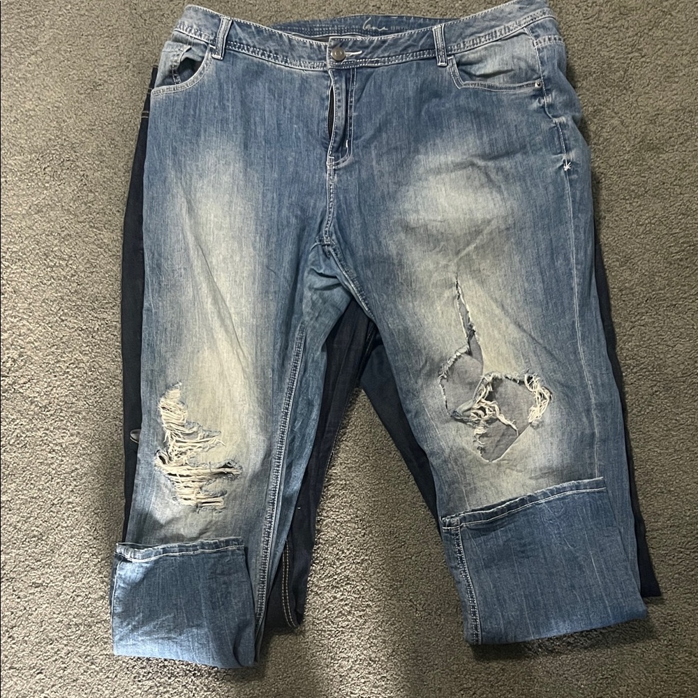 Lane Bryant Women's Dark, Light, and Medium Blue Straight Leg Jeans - Picture 3 of 4